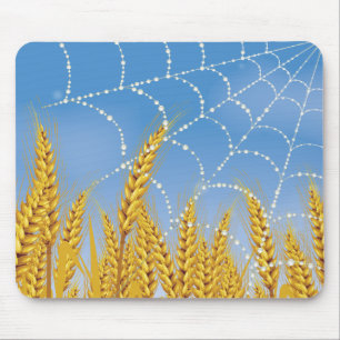 Tapis De Souris Web Araignées