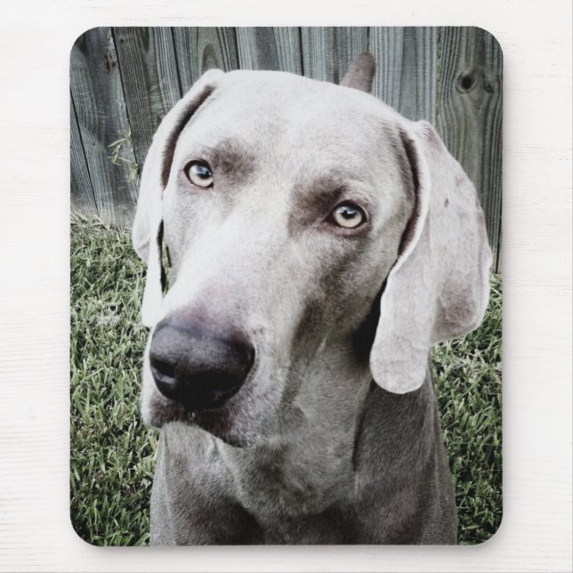 Tapis De Souris Weimaraner (Devant)