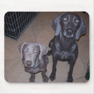 Tapis De Souris weimeraners