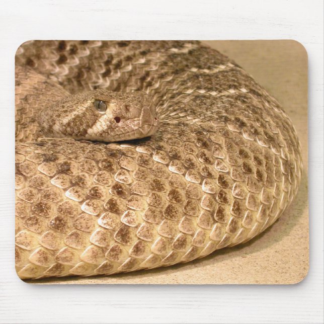 Tapis De Souris western diamondback rattlesnake (Devant)