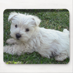 Tapis De Souris Westie