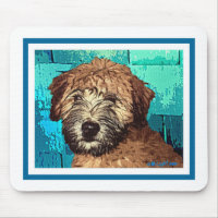 WHETEN TERRIER : POIVRE HUMIDE