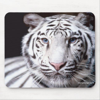 Tapis De Souris White Bengal Tiger Photographe