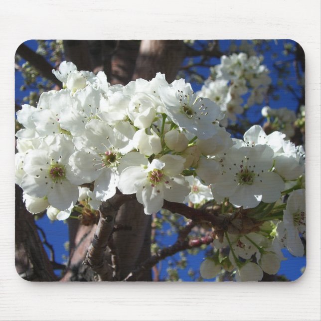 Tapis De Souris White Blossoms II (Devant)