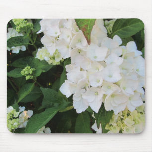 Tapis De Souris White Hydrangeas
