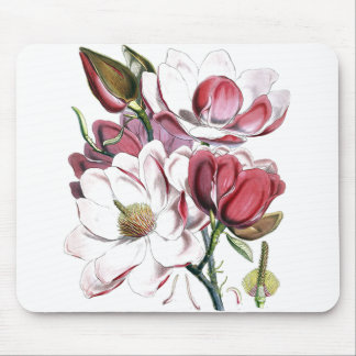 Tapis De Souris White Magnolias Flower Vintage Old Illustration