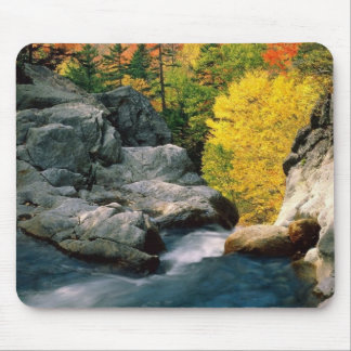 Tapis De Souris White Mountain National Forest, NH