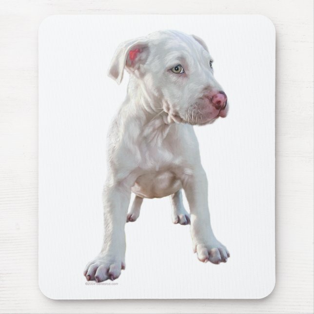 Tapis De Souris White Pitbull Puppy (Devant)