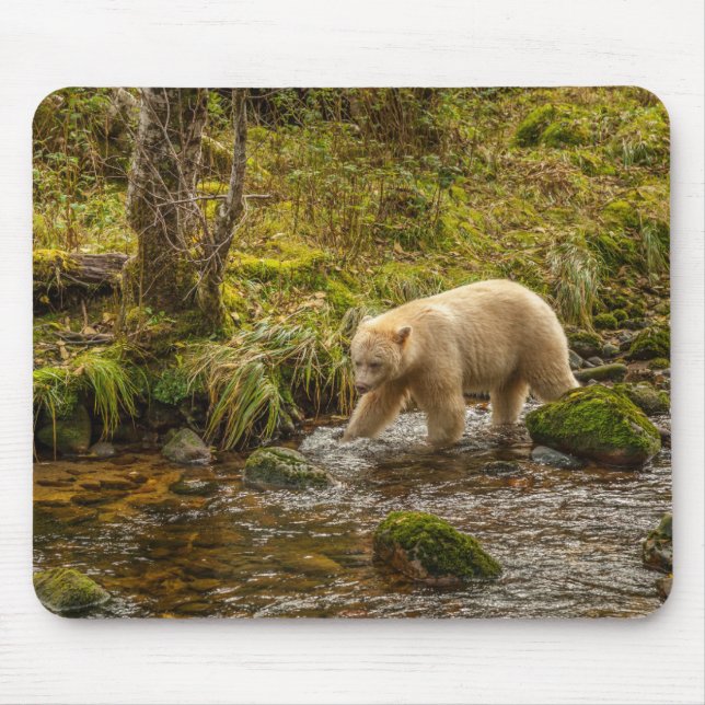 Tapis De Souris White Spirit Bear Chasse pour poisson sur Riordan  (Devant)