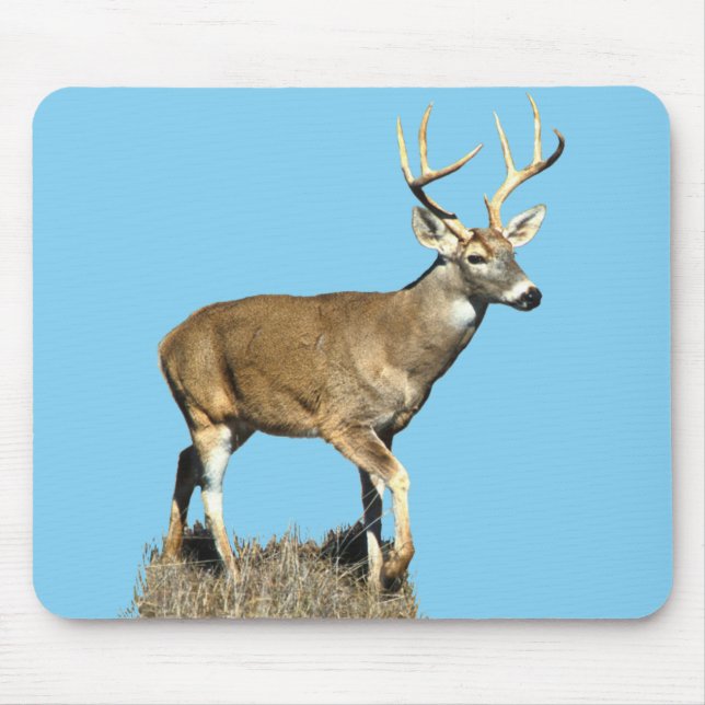 Tapis De Souris White Tailed Deer Buck (Devant)