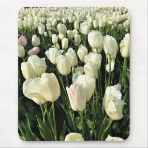 Tapis De Souris White Tulips à Field, Oregon