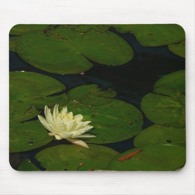 Tapis De Souris White Waterlily I Peaceful (Devant)