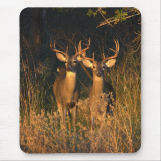 Tapis De Souris Whitetails du Texas