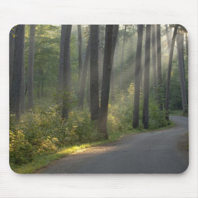 Tapis De Souris Wilderness Drive, parc d'État d'Itasca, (Devant)