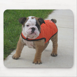 Tapis De Souris William le chiot anglais de bouledogue