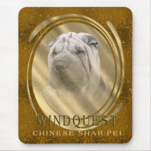 Tapis De Souris Windquest CSP