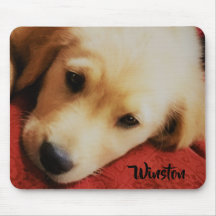 Winston le chiot de golden retriever, Mousepad