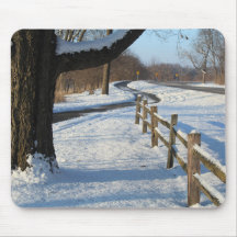 Winter Trail & Fence photo nature