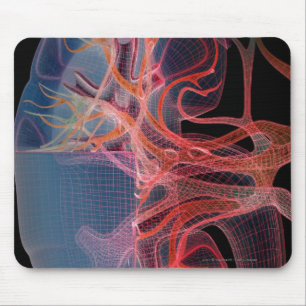 Tapis De Souris Wireframe de l'intérieur d'un rein