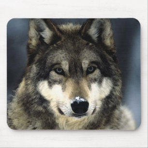 Tapis De Souris Wolf Portrait Mousepads