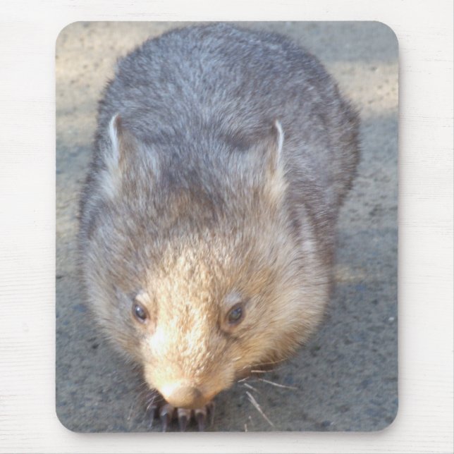 Tapis De Souris Wombat Mousepad (Devant)