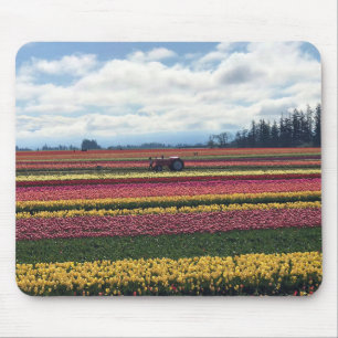 Tapis De Souris Wooden Shoe Tulip Farm, Woodburn, Oregon