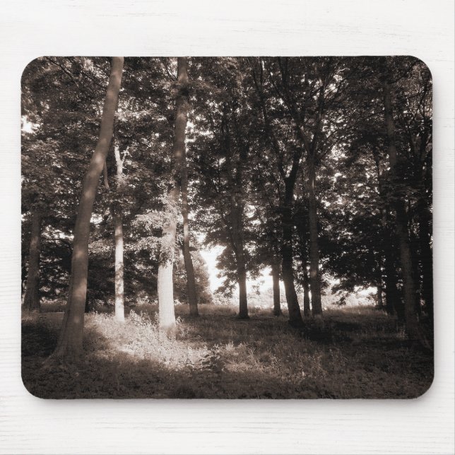 Tapis De Souris Woods Bute Park, Cardiff II (Devant)