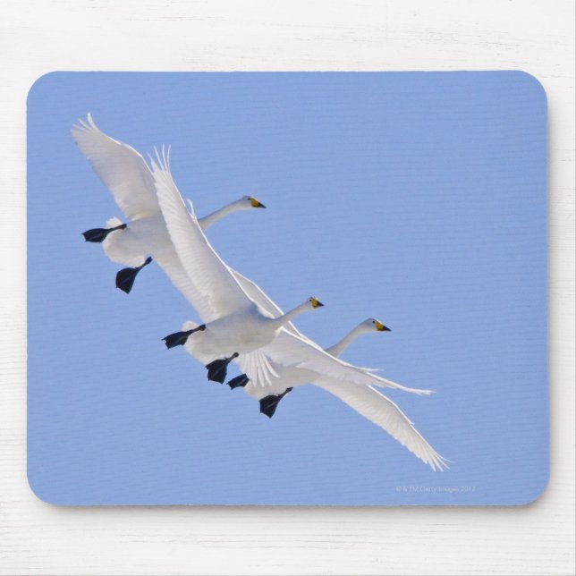Tapis De Souris Wouoper Swans volant dans le ciel (Devant)