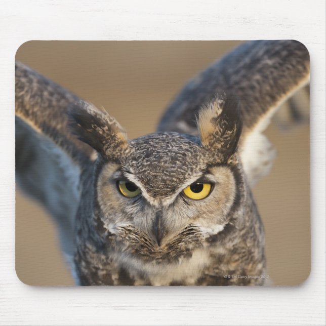 Tapis De Souris Wyoming, USA (Devant)
