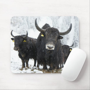 Tapis De Souris Yak