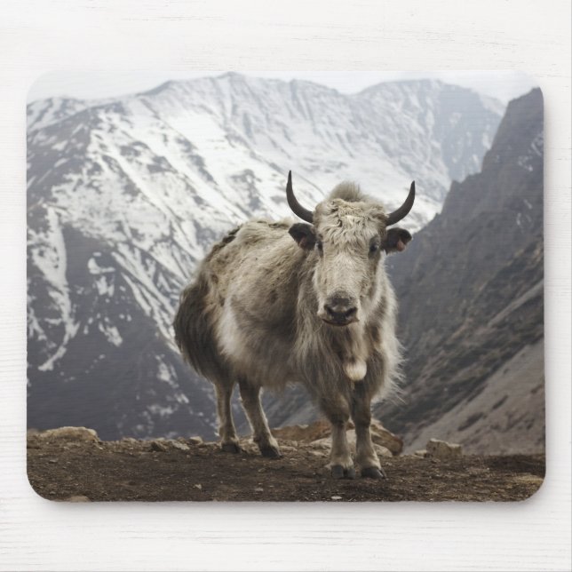 Tapis De Souris Yaks au Népal (Devant)