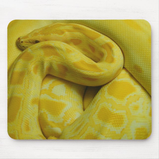 Tapis De Souris Yellow Burmese Python (Devant)