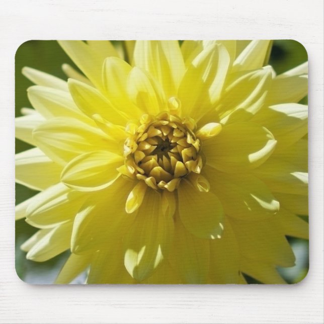 Tapis de souris Yellow Dahlia (Devant)