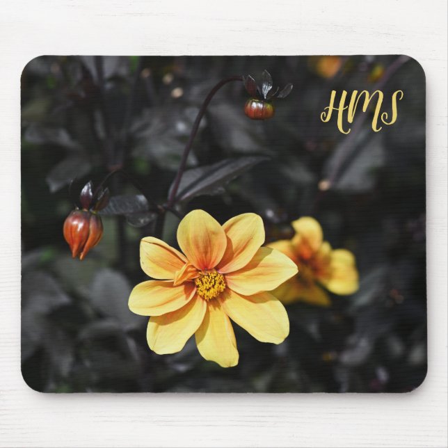 Tapis De Souris Yellow Dahlia Flowers Wisley Gardens Monongram (Devant)