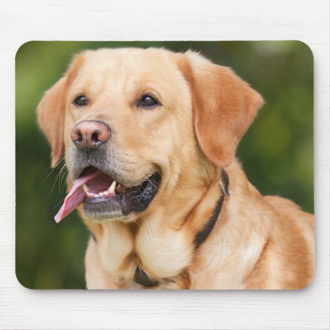Tapis De Souris Yellow Labrador Retriever Dog - Lab (Devant)