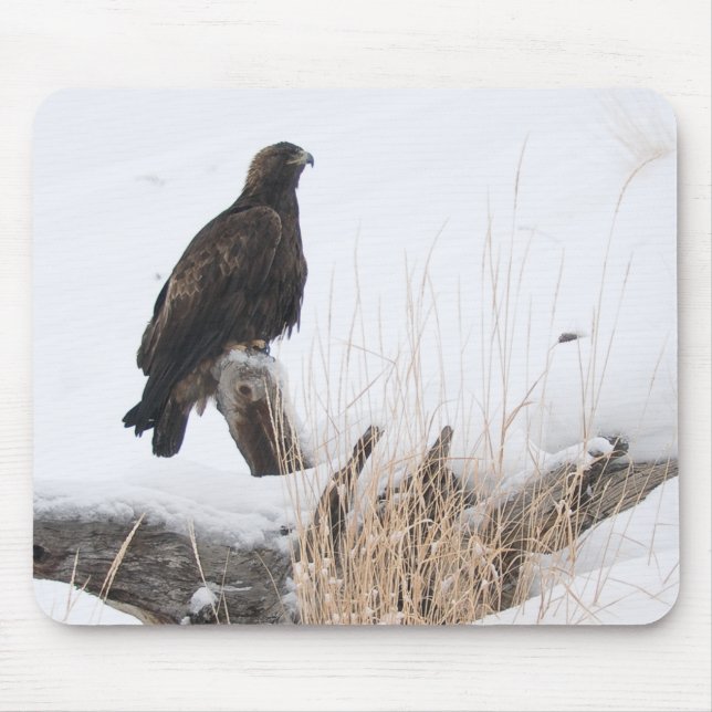 Tapis De Souris Yellowstone Eagle d'or (Devant)