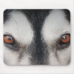 Tapis De Souris Yeux de brun de chien de Malamute