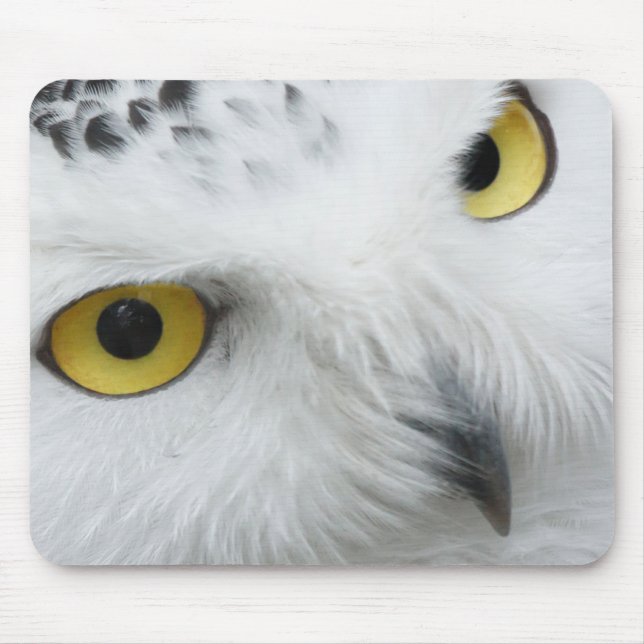 Tapis De Souris Yeux de Chouette des neiges (Devant)