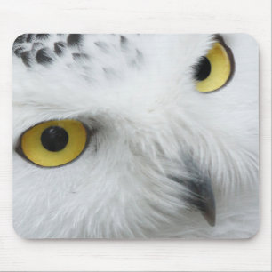 Tapis De Souris Yeux de chouette neigeuse