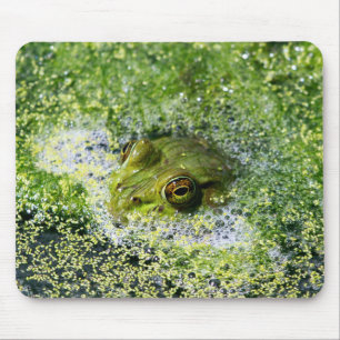 Tapis De Souris Yeux de grenouille dans un étang