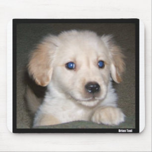 Tapis De Souris Yeux de Pupy