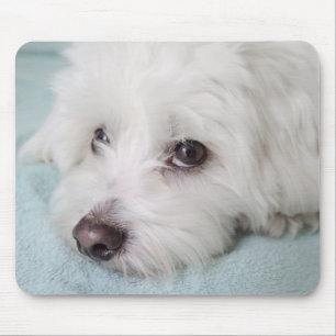 Tapis De Souris Yeux de Tulear Puppy de coton