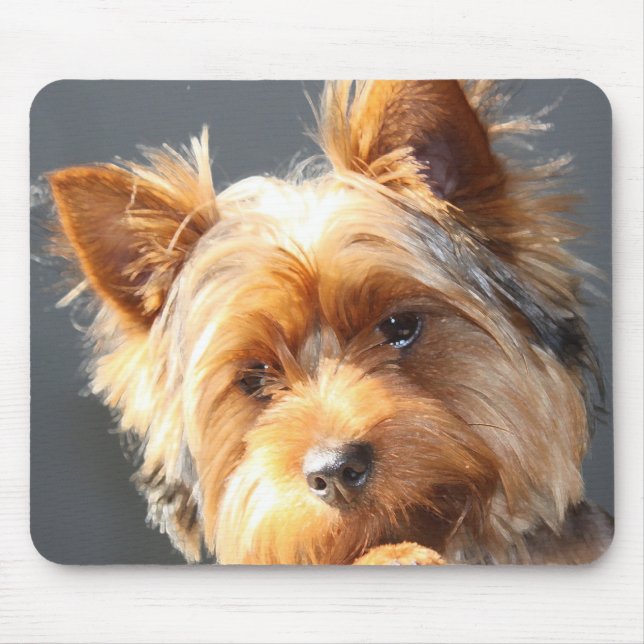 Tapis De Souris yorkie (Devant)