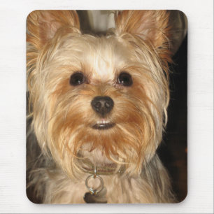 Tapis De Souris yorkie