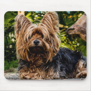 Tapis De Souris Yorkie