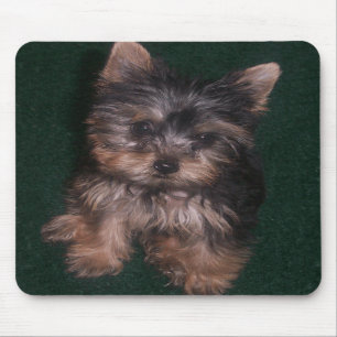 Tapis De Souris Yorkie Mousepad