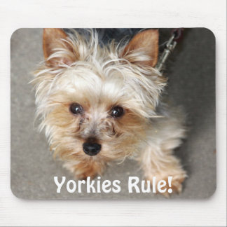 Tapis De Souris Yorkie, règle de Yorkies !