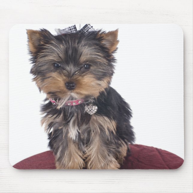 Tapis De Souris Yorkshire (Devant)