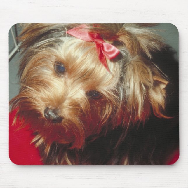 Tapis De Souris Yorkshire Terrier (Devant)