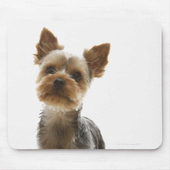 Tapis De Souris Yorkshire Terrier (Devant)